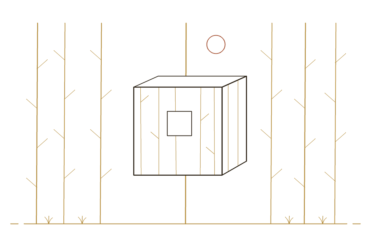 Line drawing: a mirrored glass cube hung among tall pine trunks