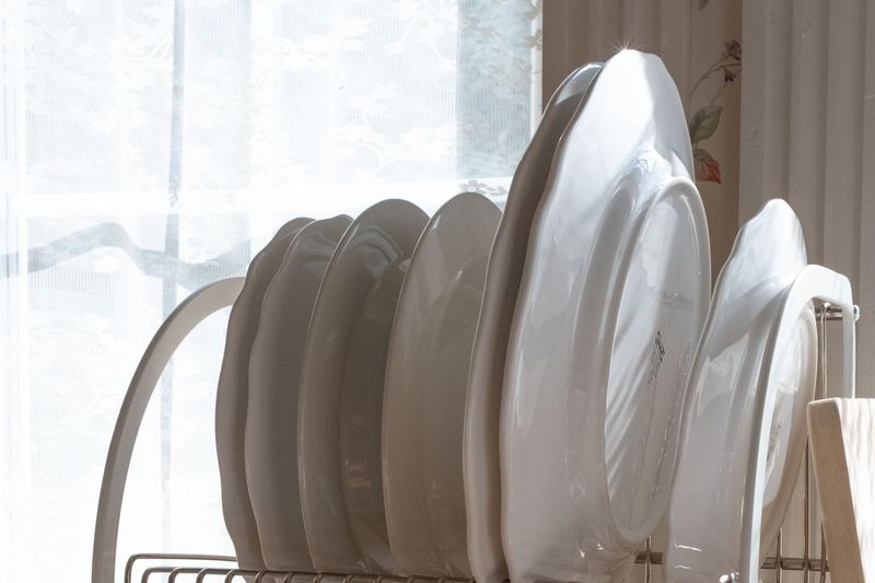 The Sponge You Clean Might Not Be Any Cleaner