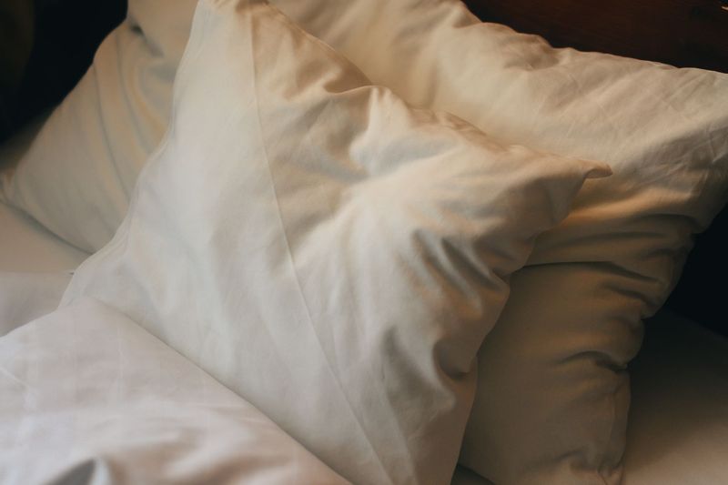 For Centuries, People Talked About Their “First Sleep” and “Second Sleep”